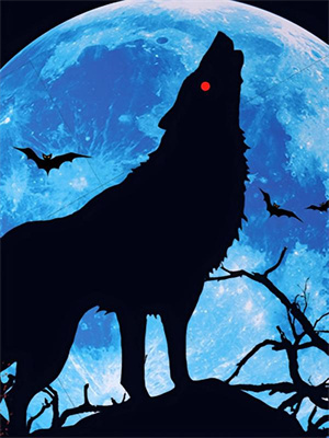 影帝的黑粉影後大結局